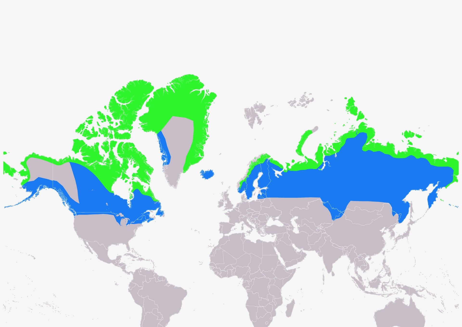Distribution map of Snowy Owl Bubo scandiacus according to IUCN version 2021.2 (Compiled by: BirdLife International and Handbook of the Birds of the World (2016) 2006.) IUCN is licensed under CC BY-SA 3.0.